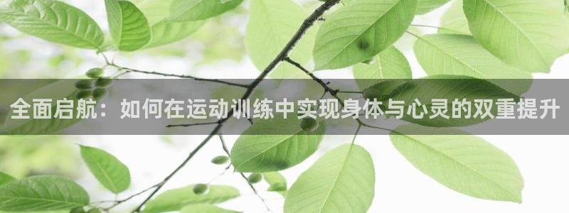 3377体育在线登录官网入口