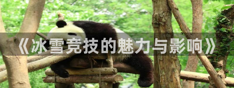 3377体育官网入口下载最新