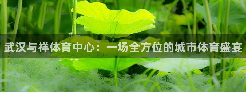 3377体育官网入口下载最新