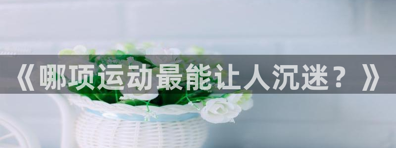 3377体育app登录入口