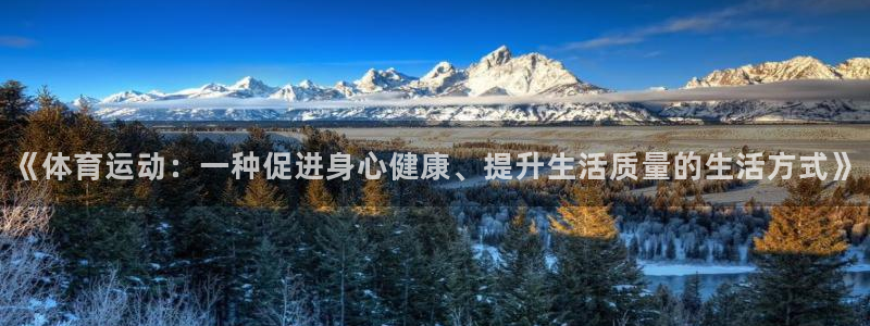 3377体育在线