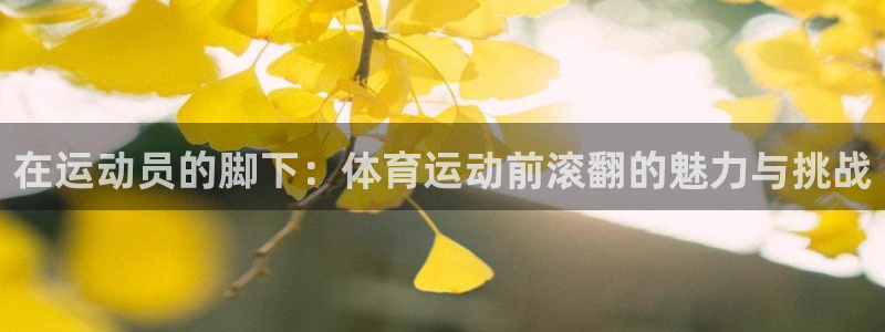 3377体育在线登录官网入口