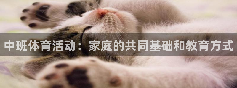 3377体育(中国)官方网站