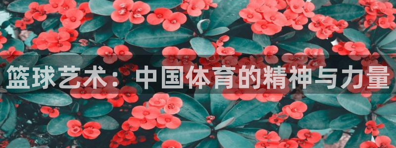 3377体育官网入口下载最新
