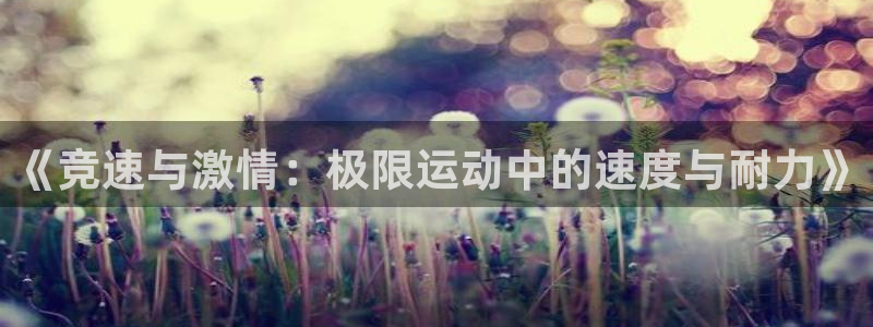 3377体育官网入口下载最新