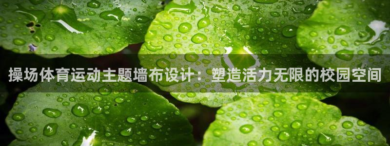 3377体育app登录入口