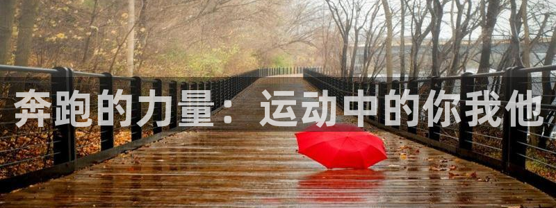 3377体育app登录入口