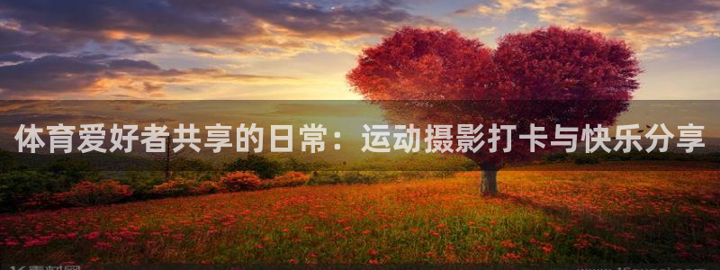3377体育官网入口网页版