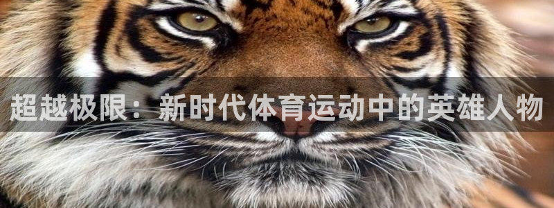 3377体育在线登录官网入口